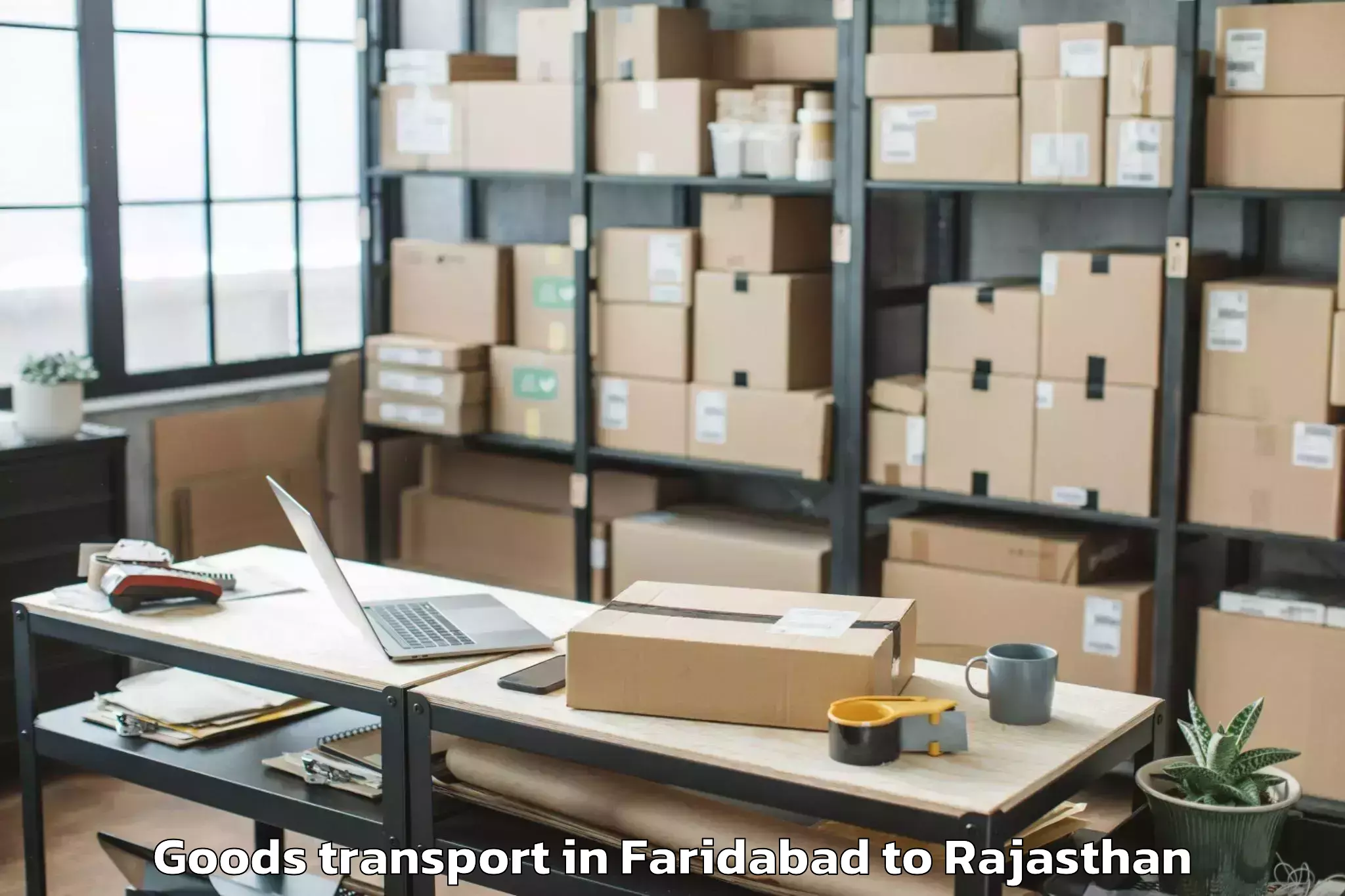 Expert Faridabad to Jalor Goods Transport